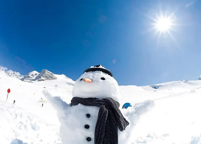 Haus Edring Appartement Tux