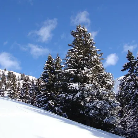 Haus Edring Apartman *